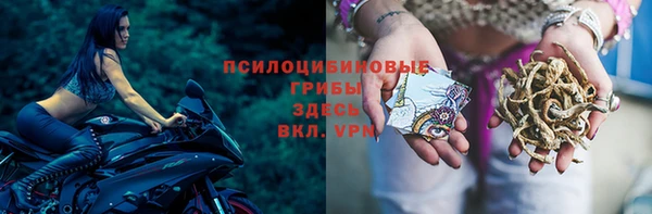 таблы Костерёво