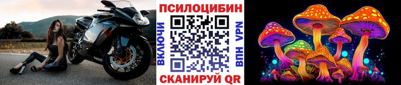 Галлюциногенные грибы Magic Shrooms  Купить закладки  Большой Камень 