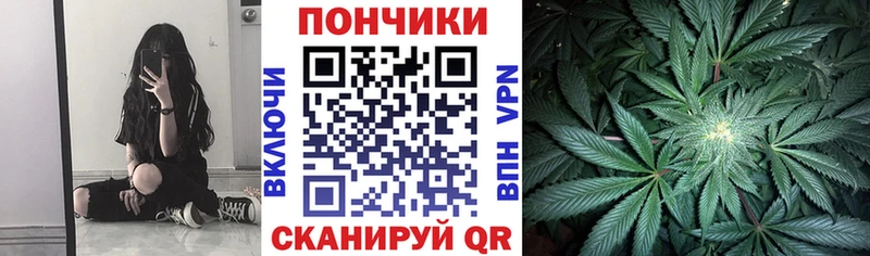 Марихуана план Купить Большой Камень